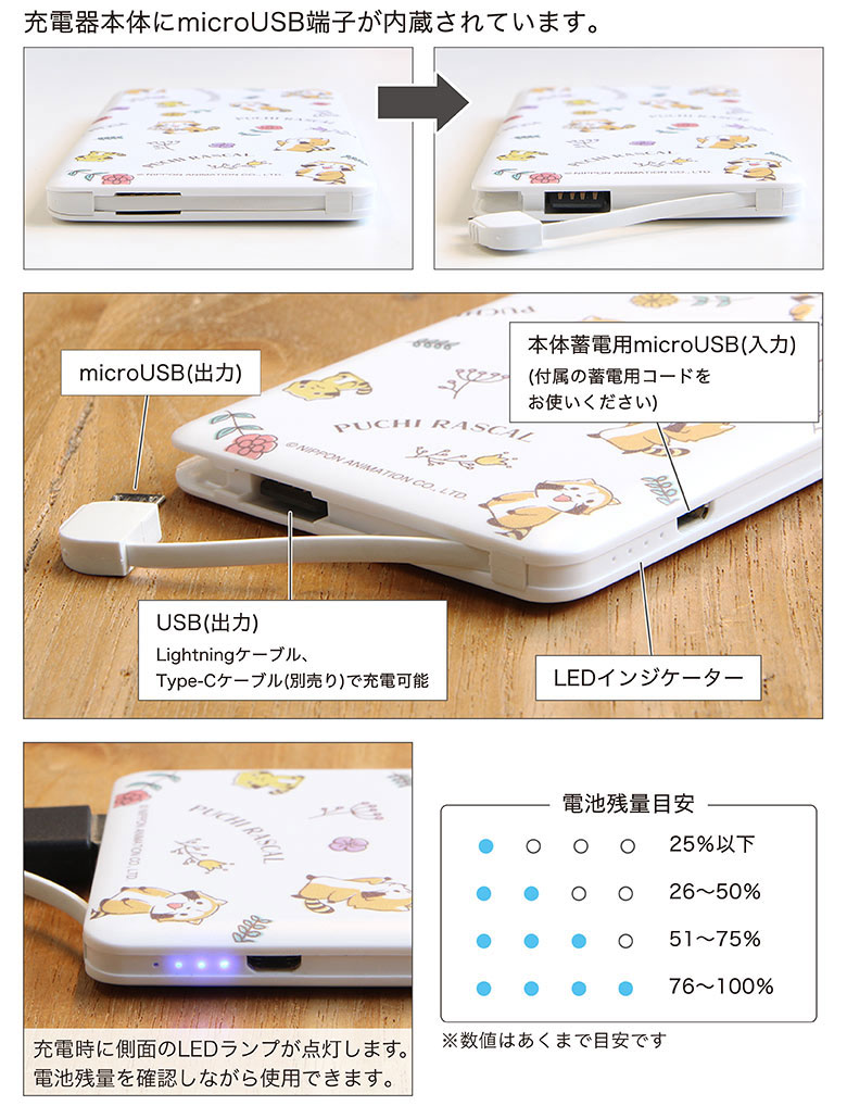 �ץ��饹���� �ܥ��˥��� 4000mAh USB���Ͻ��Ŵ� 2.1A