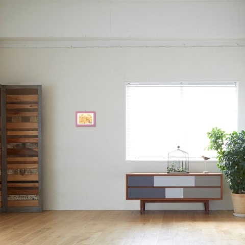 ��10�Ķ�������˽в�ͽ���Dina*Dina ̾��pictures�����餤���ޥ饹����ز֤Τ�����Υǥ����ʤ�����