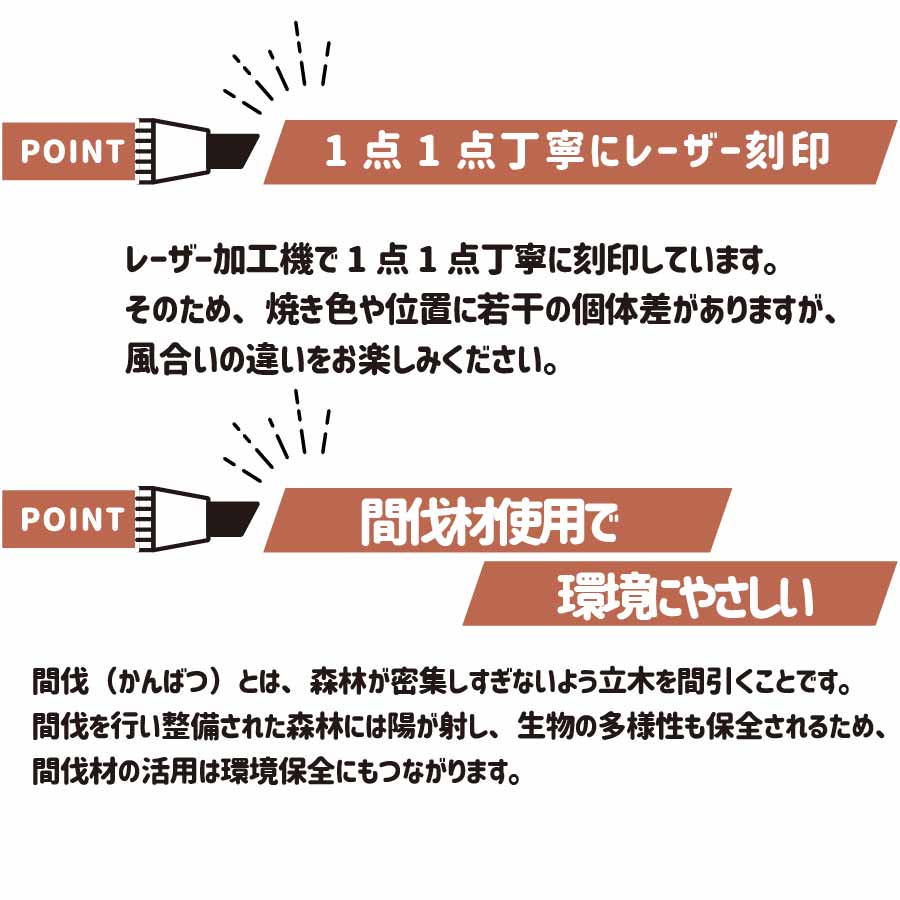 ���ӤΥ������������ۥ����