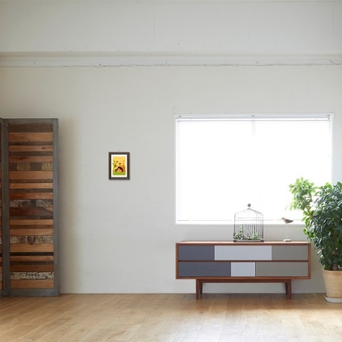 Dina*Dina ̾��pictures�����餤���ޥ饹����ؽ��θ��١�14�Ķ�������˽в١�