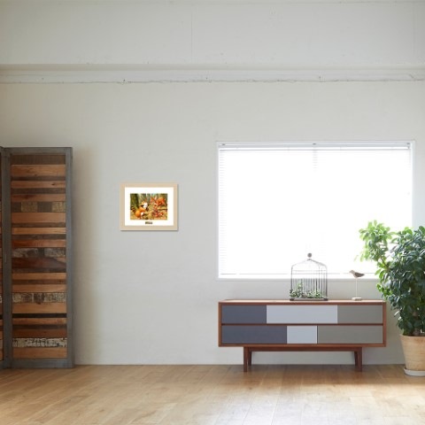 ��14�Ķ������ȯ���ۤ��餤���ޥ饹������ڤμ½�����