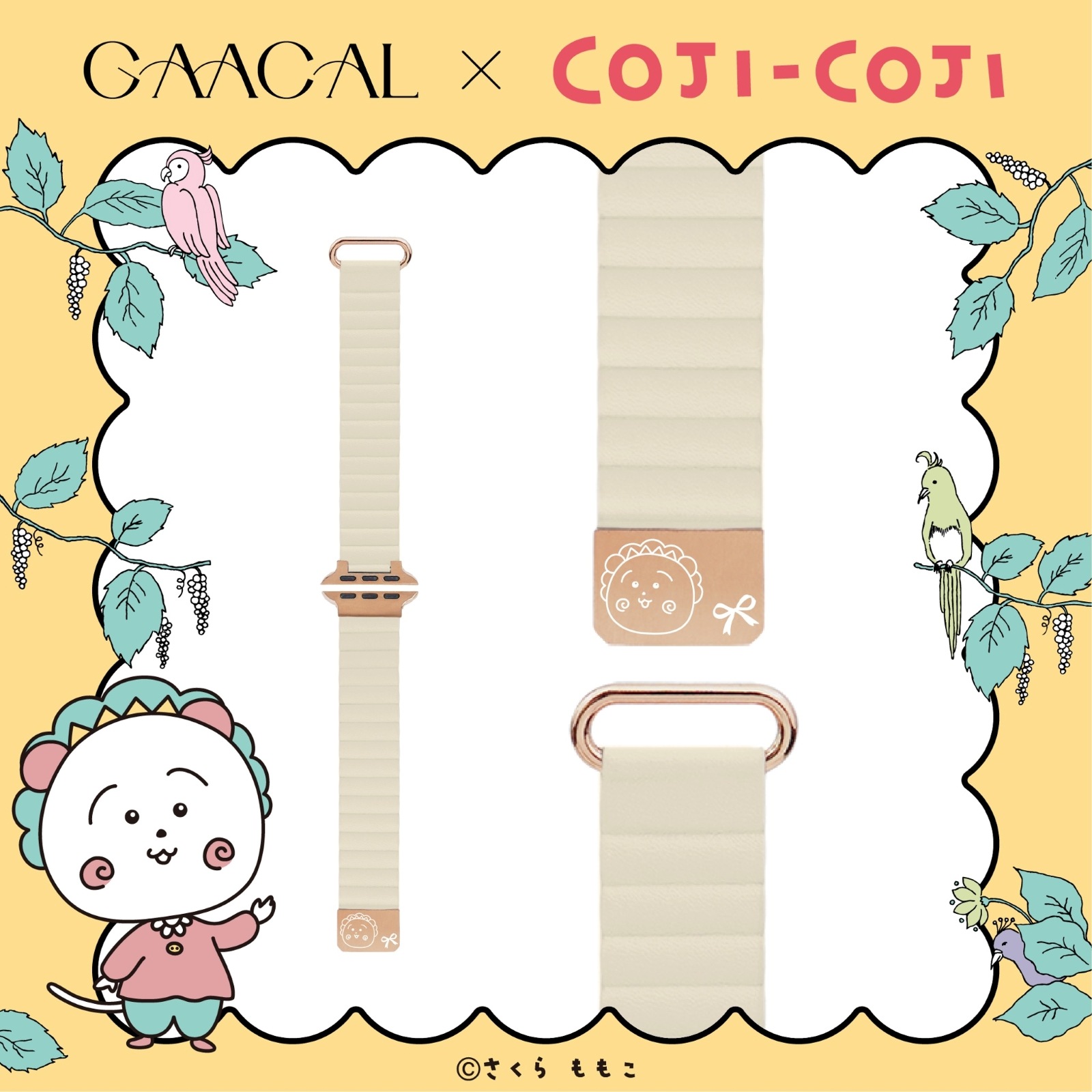 GAACAL�ߥ�������   �ޥ��ͥåȼ����åץ륦���å��Х��