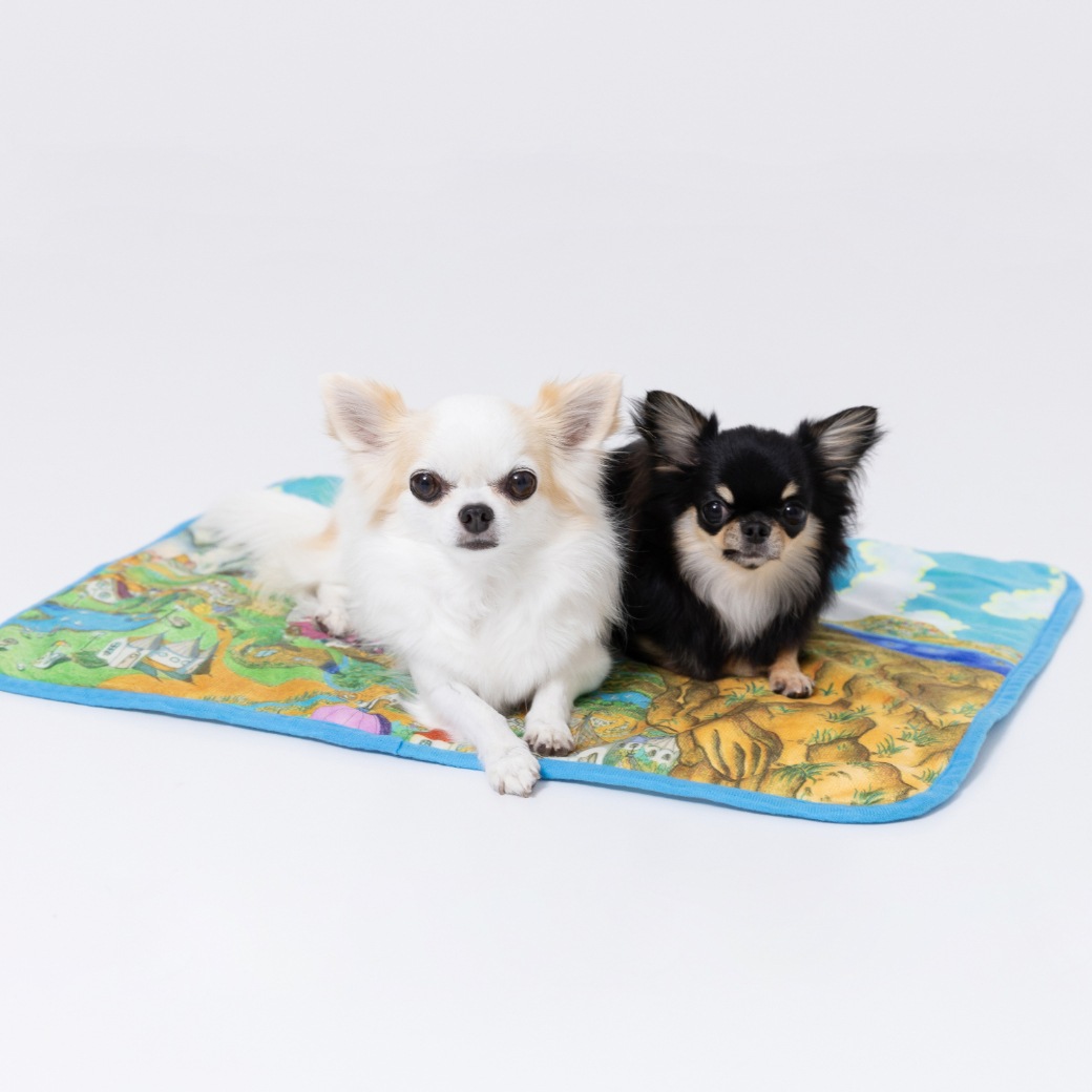 コジコジ メルヘンの国 ブランケット | 雑貨 | | 【日本アニメーション