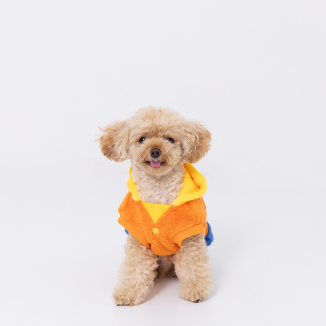 �������� ��Ϻ�ʤ꤭�ꥦ����