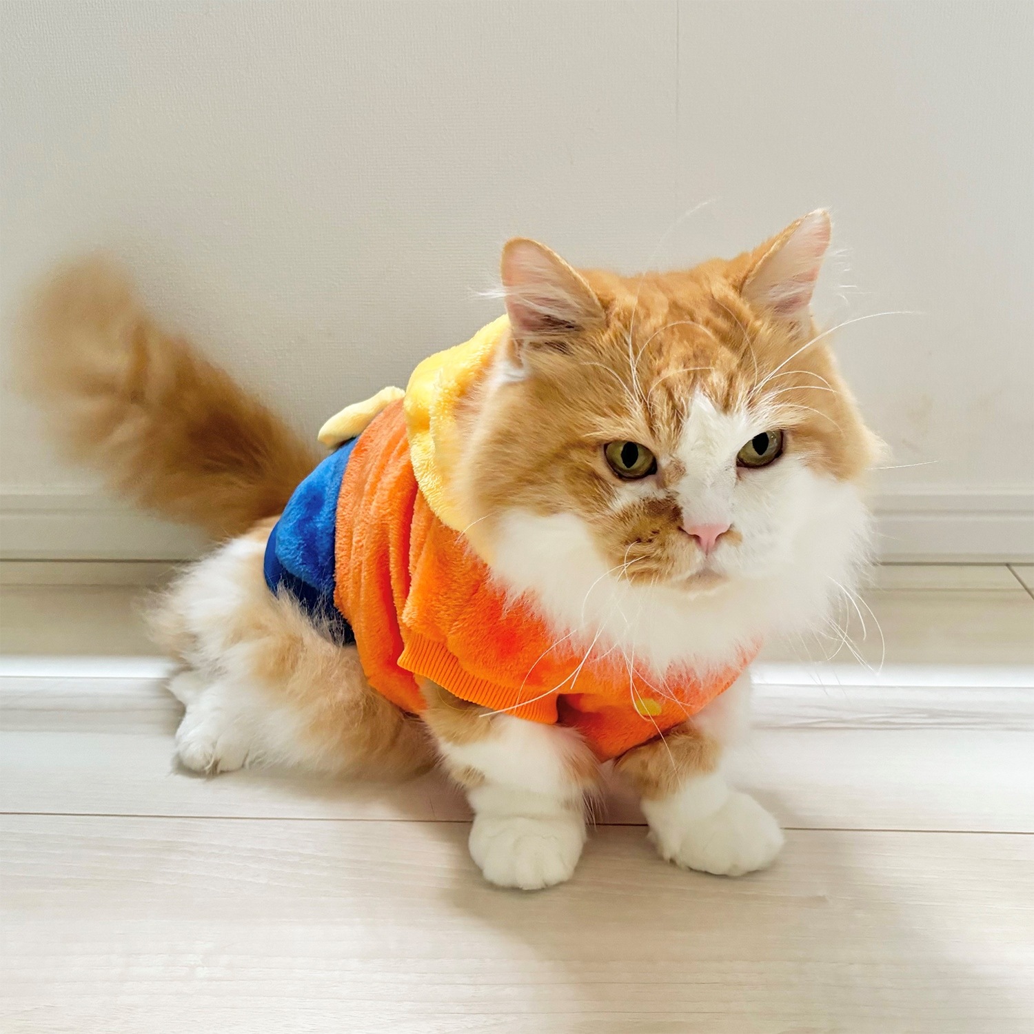 �������� ��Ϻ�ʤ꤭�ꥦ����