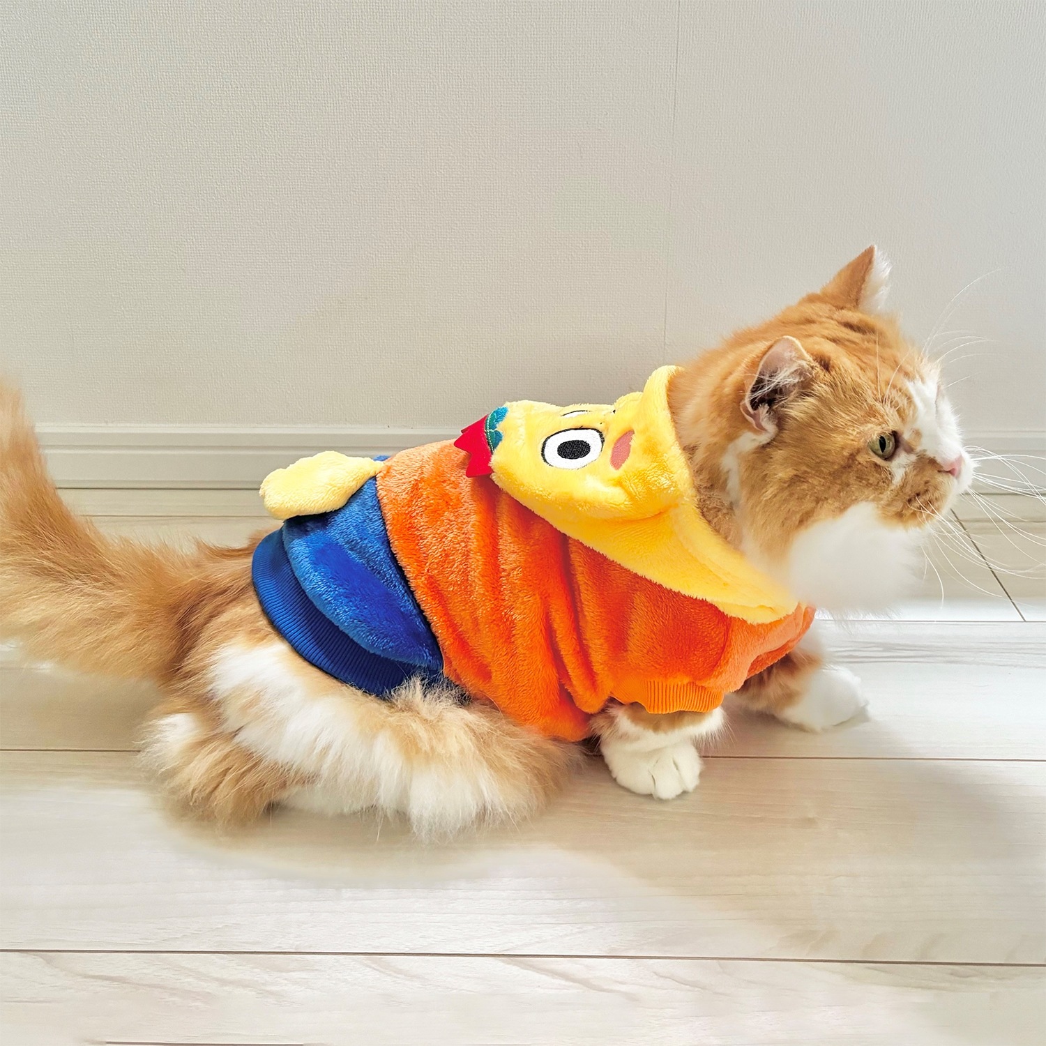 �������� ��Ϻ�ʤ꤭�ꥦ����