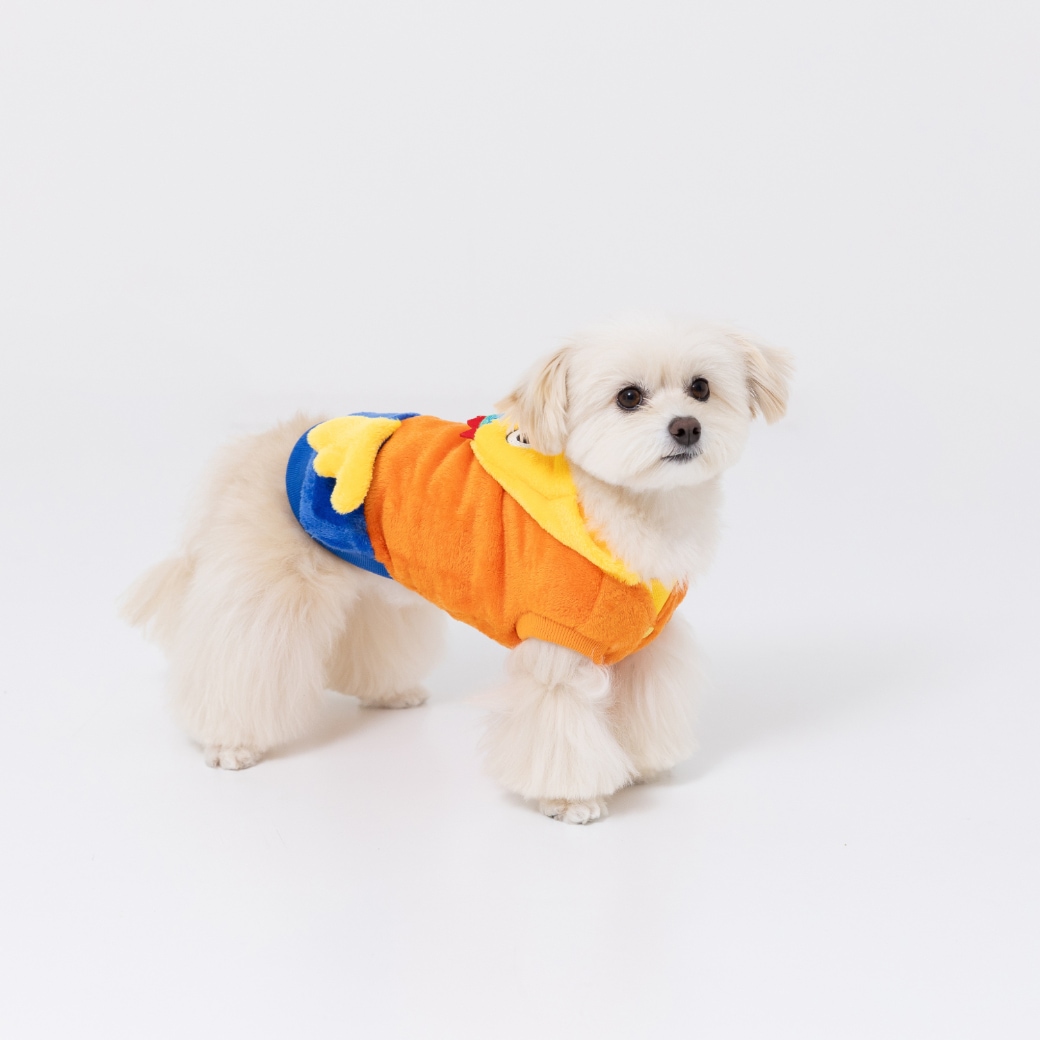 �������� ��Ϻ�ʤ꤭�ꥦ����