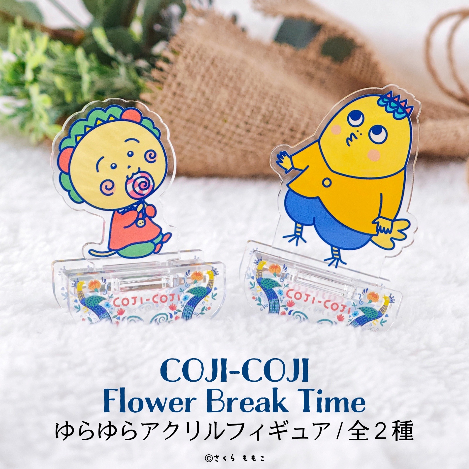 ����饢�����ե����奢 COJI-COJI Flower Break Time
