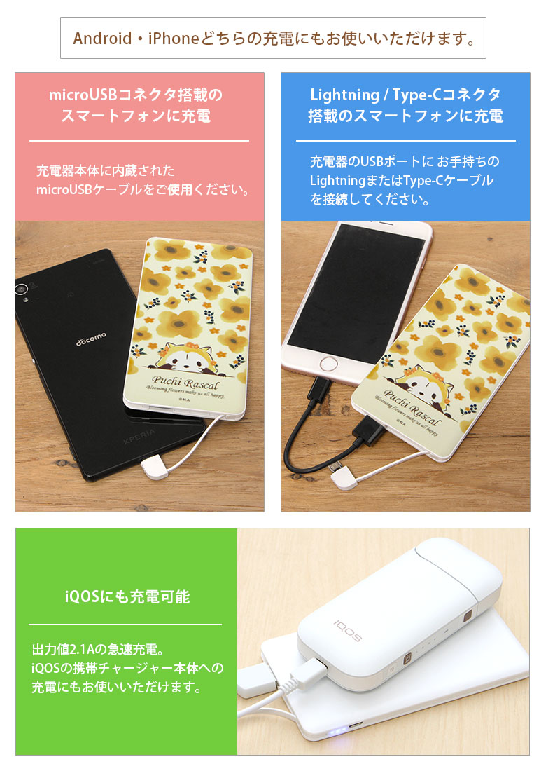 �ץ��饹���� 4000mAh USB���� ������।����ݥ�ޡ����Ŵ� 2.1