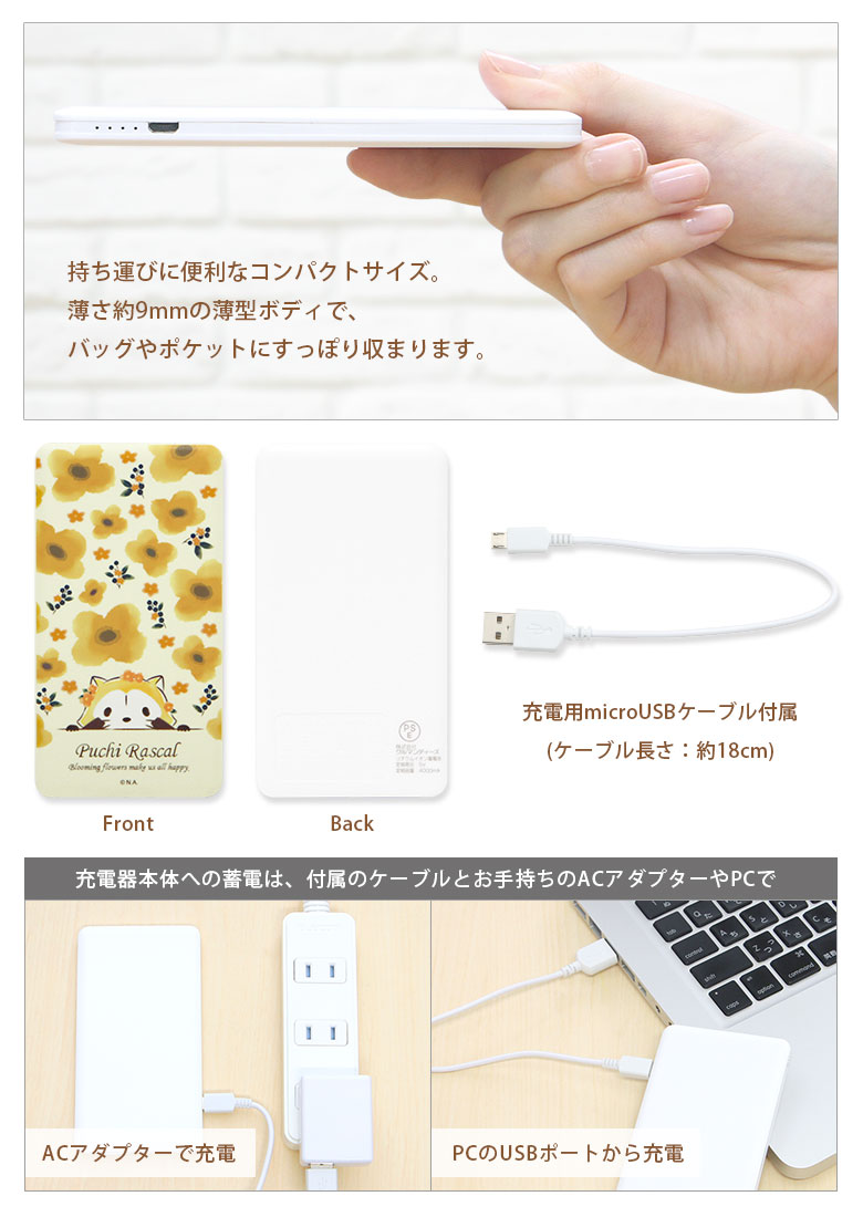 �ץ��饹���� 4000mAh USB���� ������।����ݥ�ޡ����Ŵ� 2.1