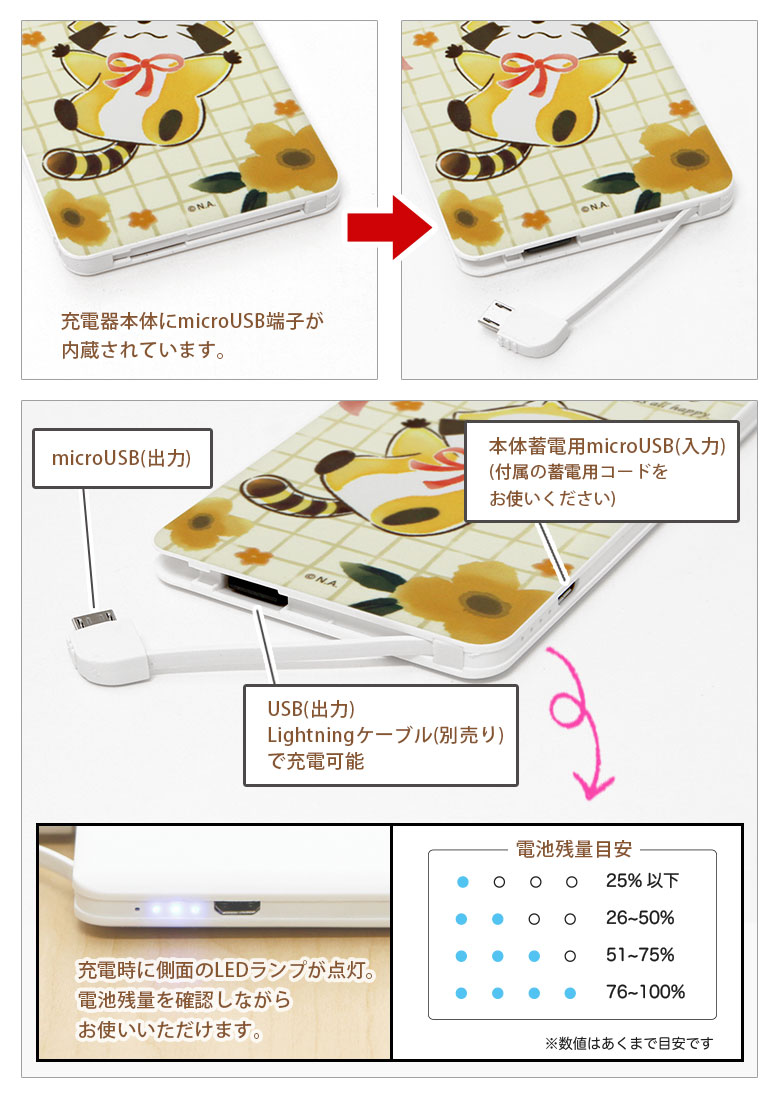 �ץ��饹���� 4000mAh USB���� ������।����ݥ�ޡ����Ŵ� 2.1