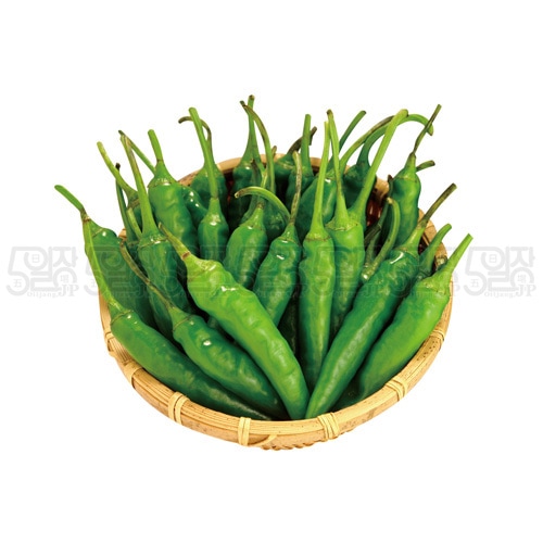 韓国産】青唐辛子（100g）