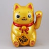 顼ǭ ǭ