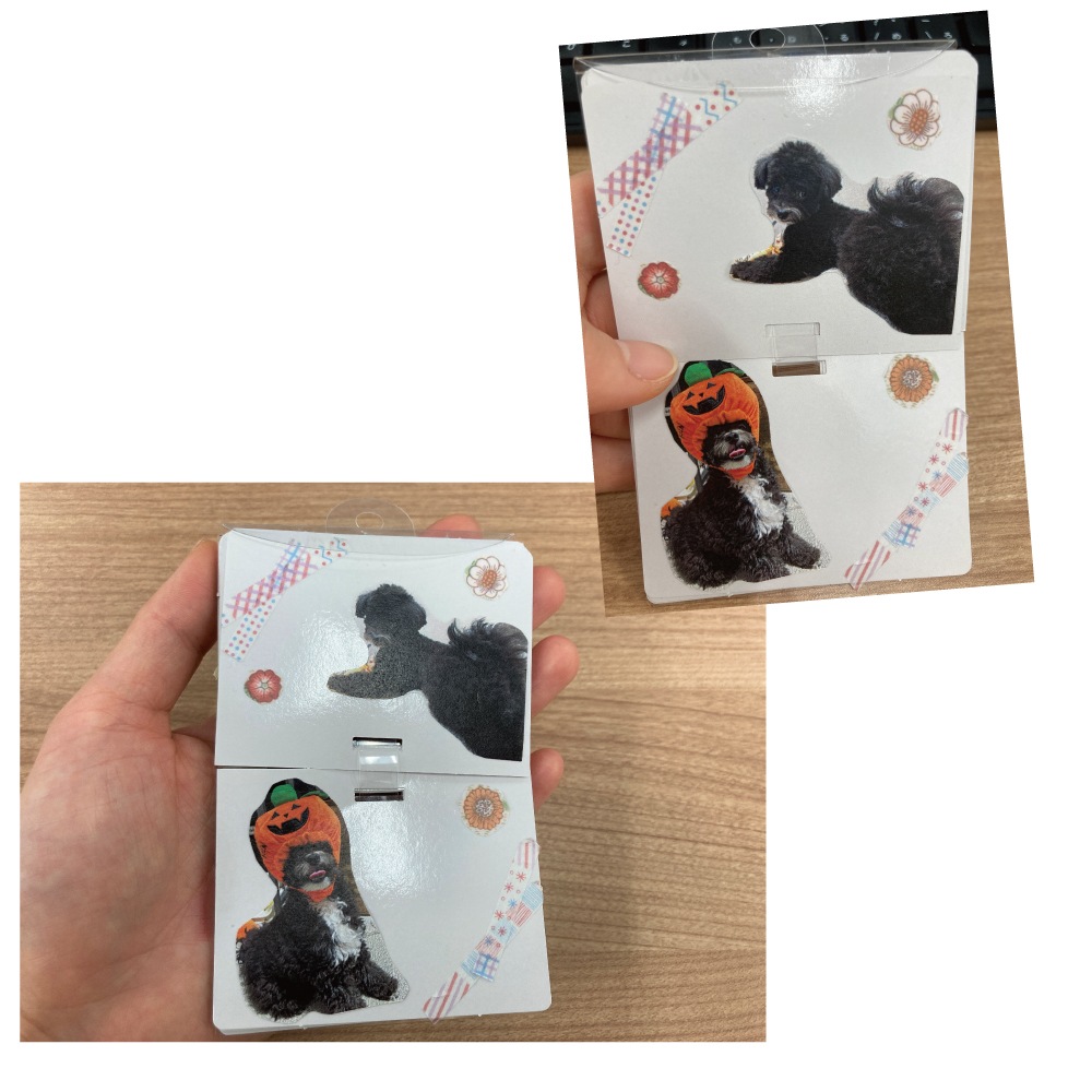 �᤯�ꥫ���� �ؤ᤯���mini��̵��