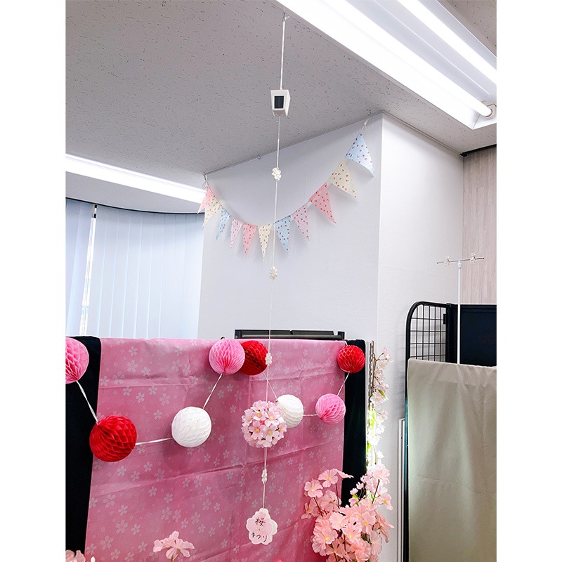 ST-1 �����顼������ϥ󥬡�