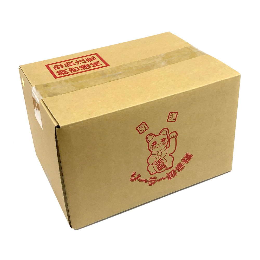 ���淿�������ۡ������顼����ǭ������2����