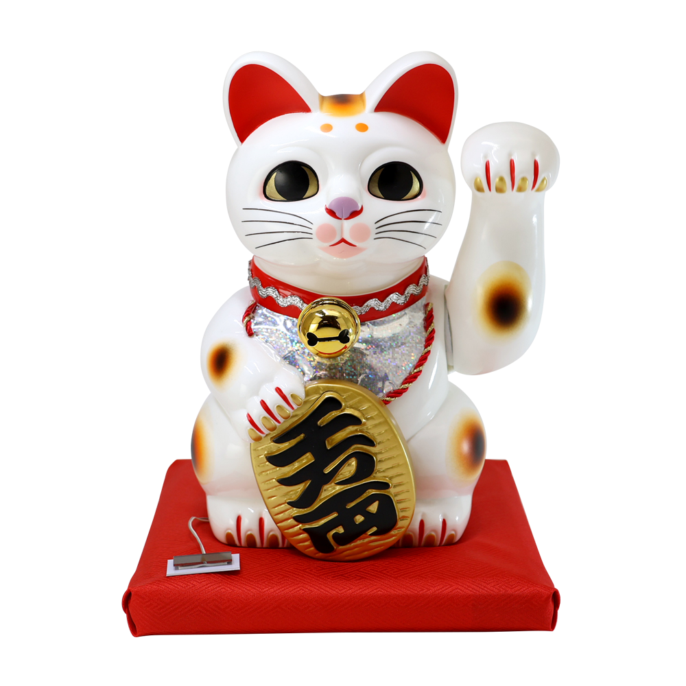 ���淿�������ۡ������顼����ǭ������2����