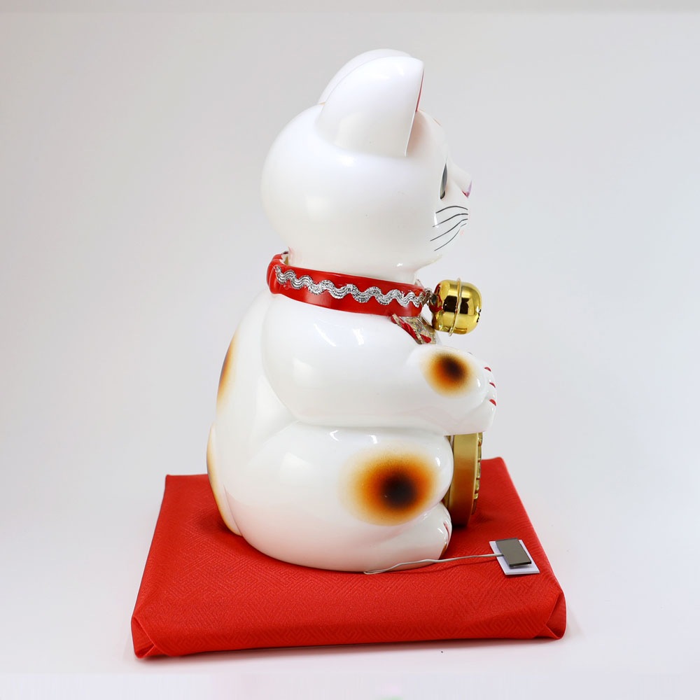 ���淿�������ۡ������顼����ǭ������2����