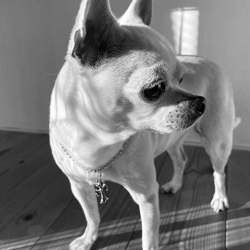 送料無料 ペットアクセサリー 犬用 ネックレス 十字架 クロス ドッグ