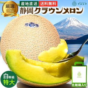 クラウンメロン【並(白等級)】特大玉(1.5kg前後)1玉入り