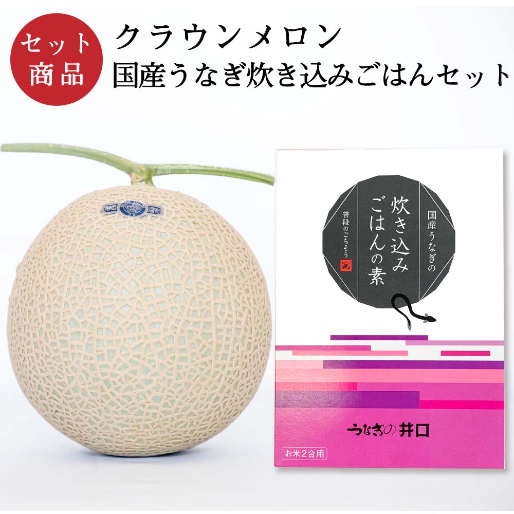 クラウンメロン×国産うなぎ炊き込みごはんセット(クラウンメロン白等級1玉×国産うなぎ炊き込みごはんの素×1)