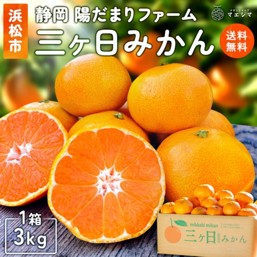 陽だまりファーム 三ヶ日みかん 約3kg