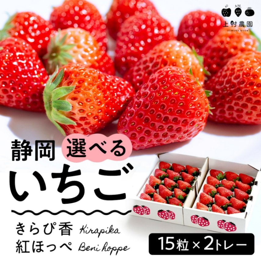 【送料無料】静岡いちご(きらぴ香・紅ほっぺ)選べる2パックセット　～5月頃まで