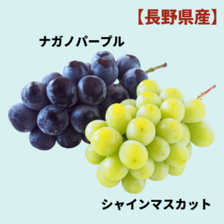 (2025年の販売は終了しました)【長野県産】シャインマスカット / ナガノパープル