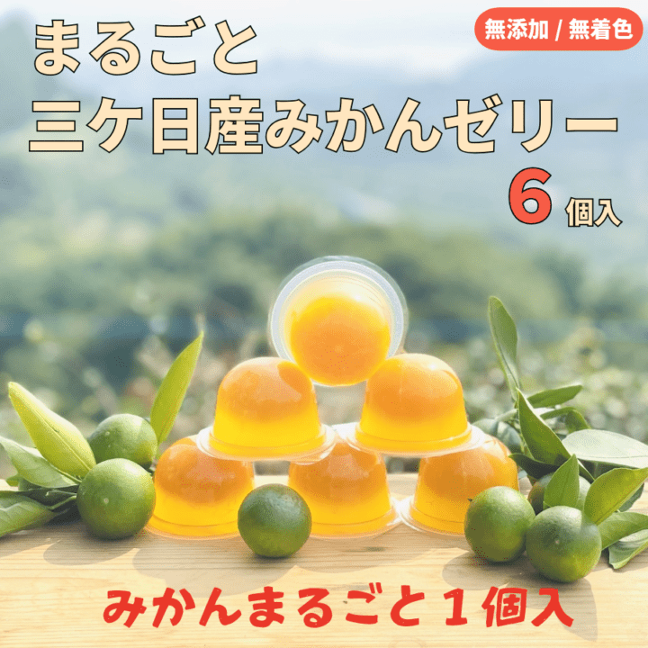 【無添加・無着色】まるごと三ケ日産みかんゼリー6個入