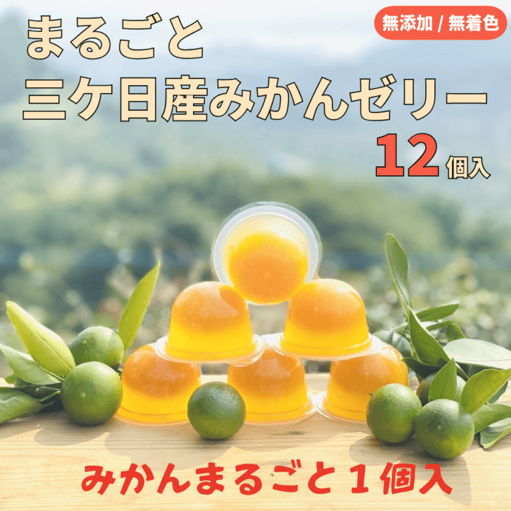 【無添加・無着色】まるごと三ケ日産みかんゼリー12個入