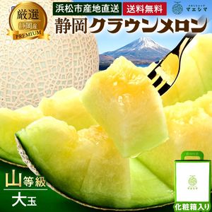 クラウンメロン【上(山等級)】大玉(1.4kg前後)1玉入り|静岡クラウンメロンお取り寄せ