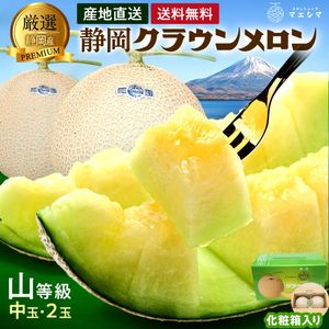 クラウンメロン【上(山等級)】中玉(1.3kg前後)2玉入り|静岡クラウンメロンお取り寄せ