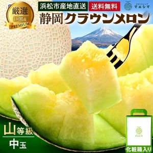 クラウンメロン【上(山等級)】中玉(1.3kg前後)1玉入り|静岡クラウンメロンお取り寄せ