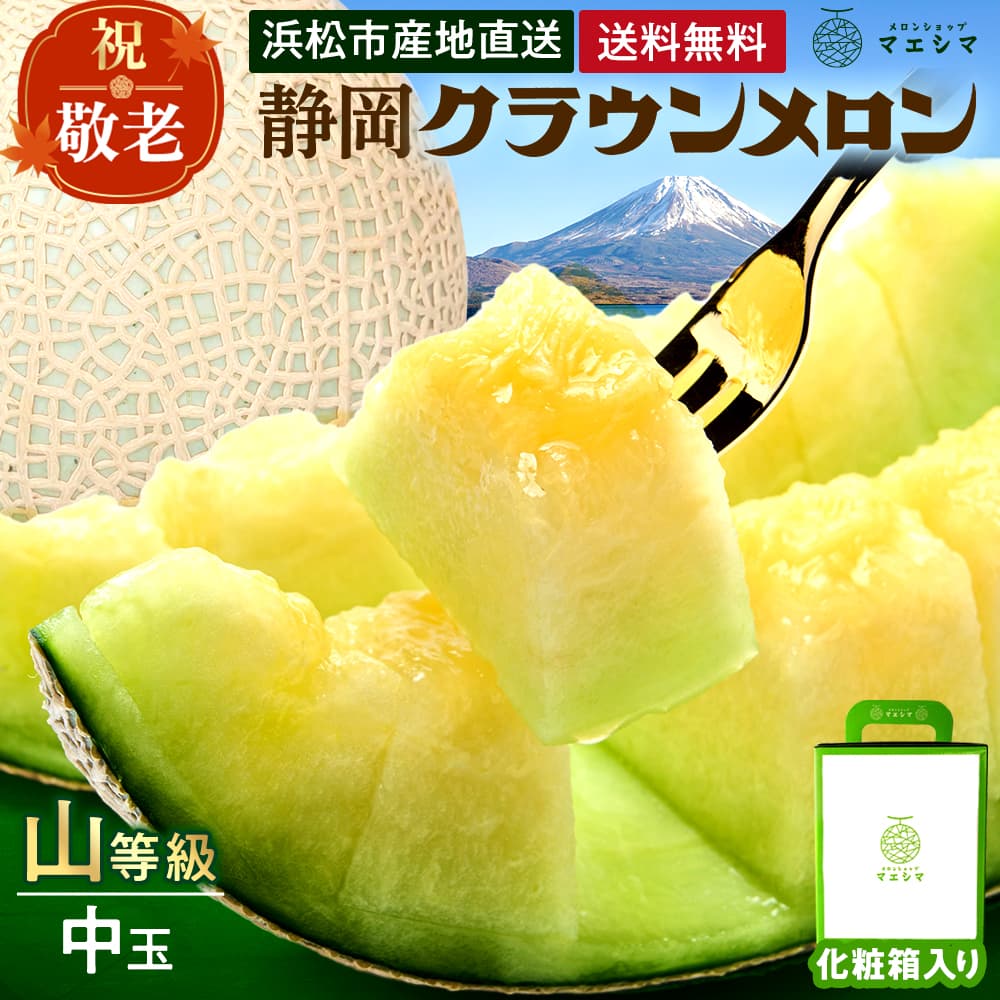 【送料無料】クラウンメロン【上(山等級)】中玉(1.3kg前後)1玉入り