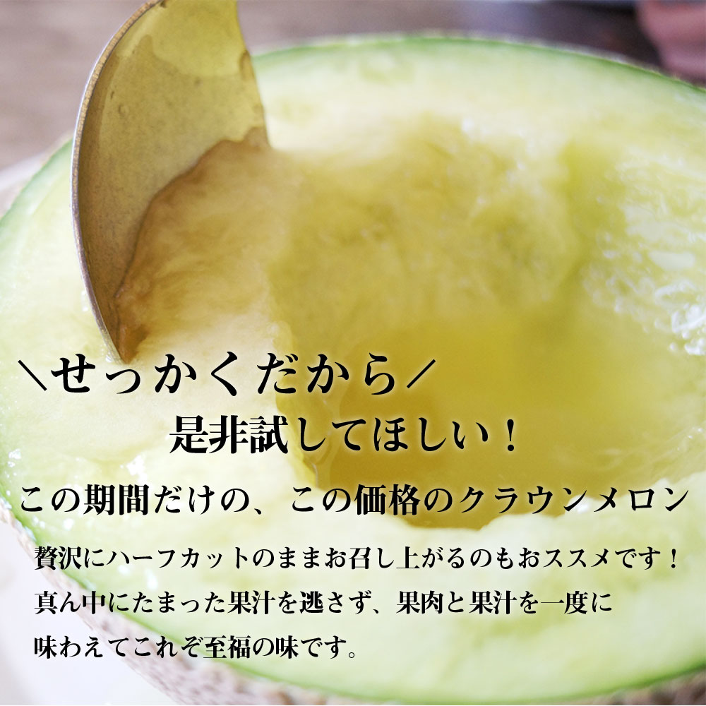 メロン様 お中元 ギフト 送料無料] 北海道メロン（特大玉） - ホームセンター