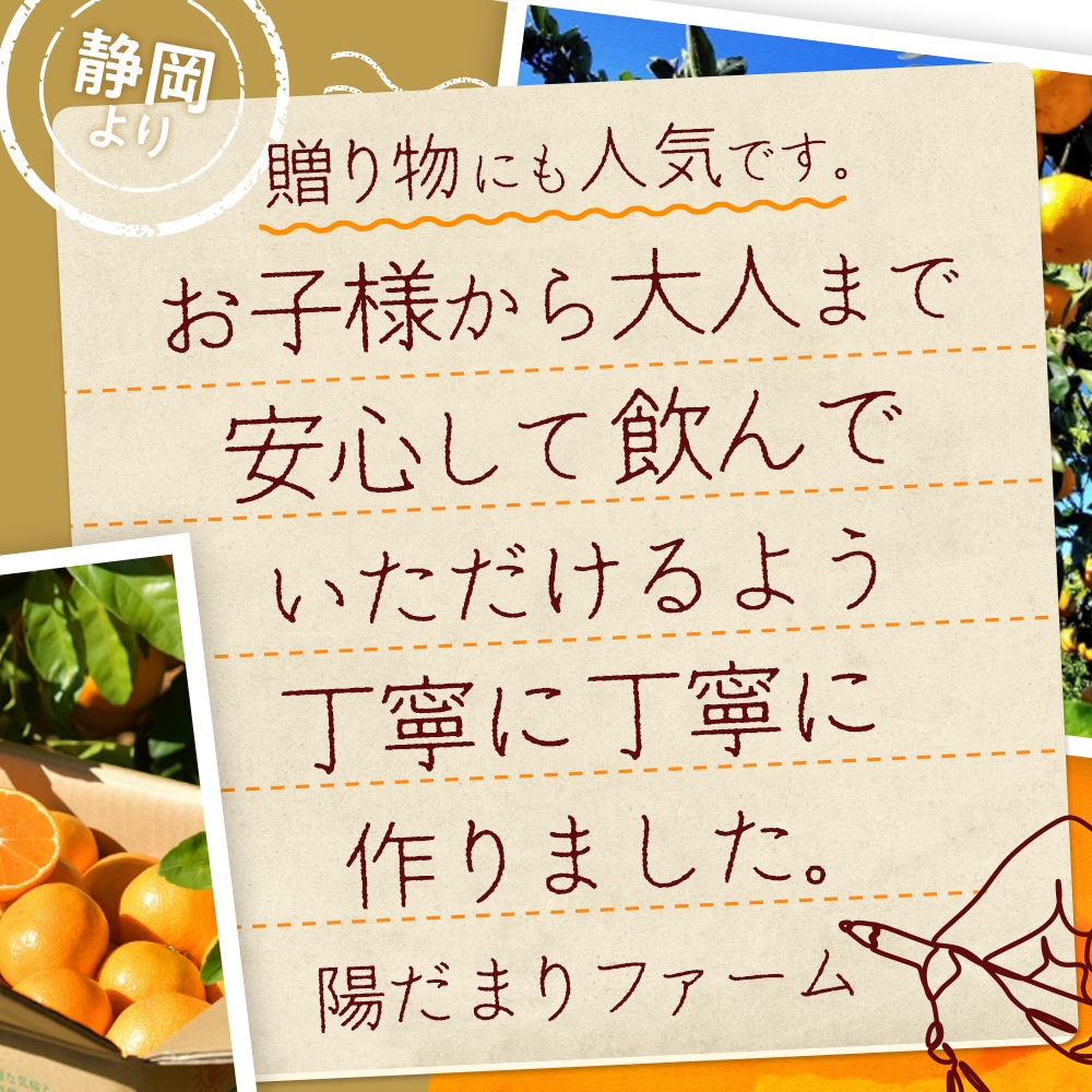 陽だまりみかんジュース ストレート720ml 2本 果汁100％ 無添加