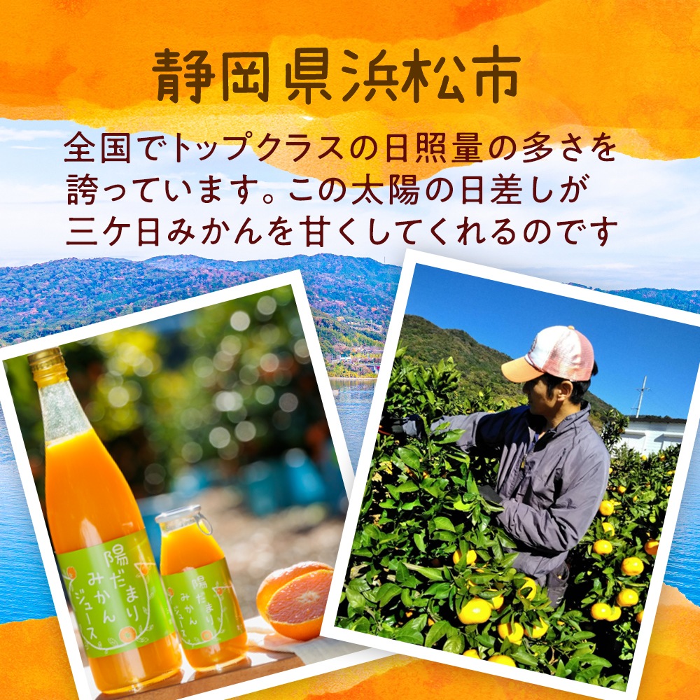 陽だまりみかんジュース ストレート720ml 2本 果汁100％ 無添加