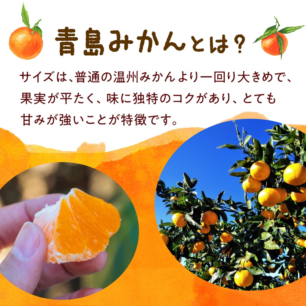 ギフト】クラウンメロン白等級1.3kg前後1玉×陽だまりみかんジュース