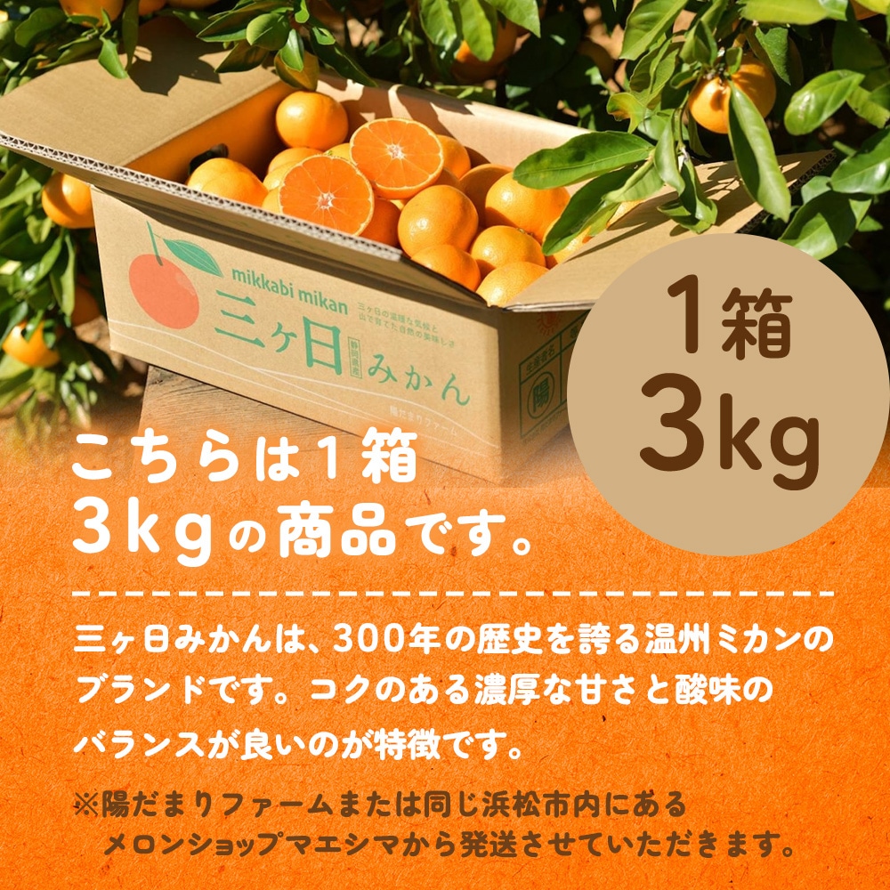 陽だまりファーム 三ヶ日みかん 約3kg│ 静岡クラウンメロン通販メロン