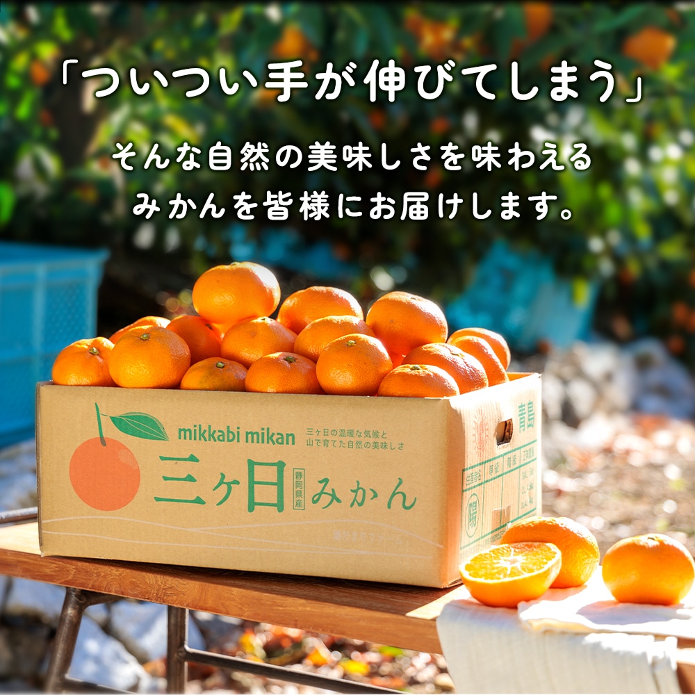 陽だまりファーム 三ヶ日みかん 約3kg│ 静岡クラウンメロン通販メロン