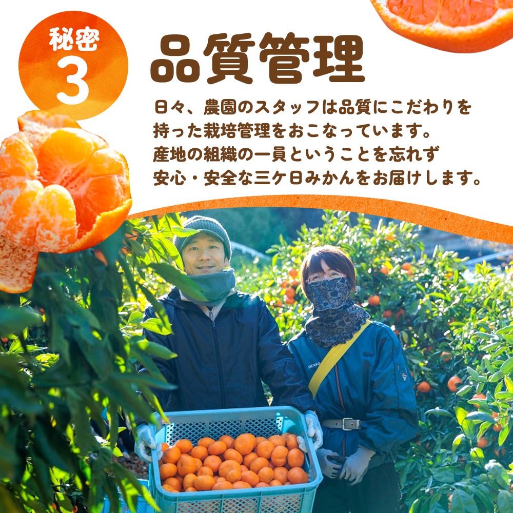 みかんさま 購入商品のため購入不可 みかん様 みかん様 みかん様 ミカン様 ミカン様 蜜柑様 レビュー】ZX