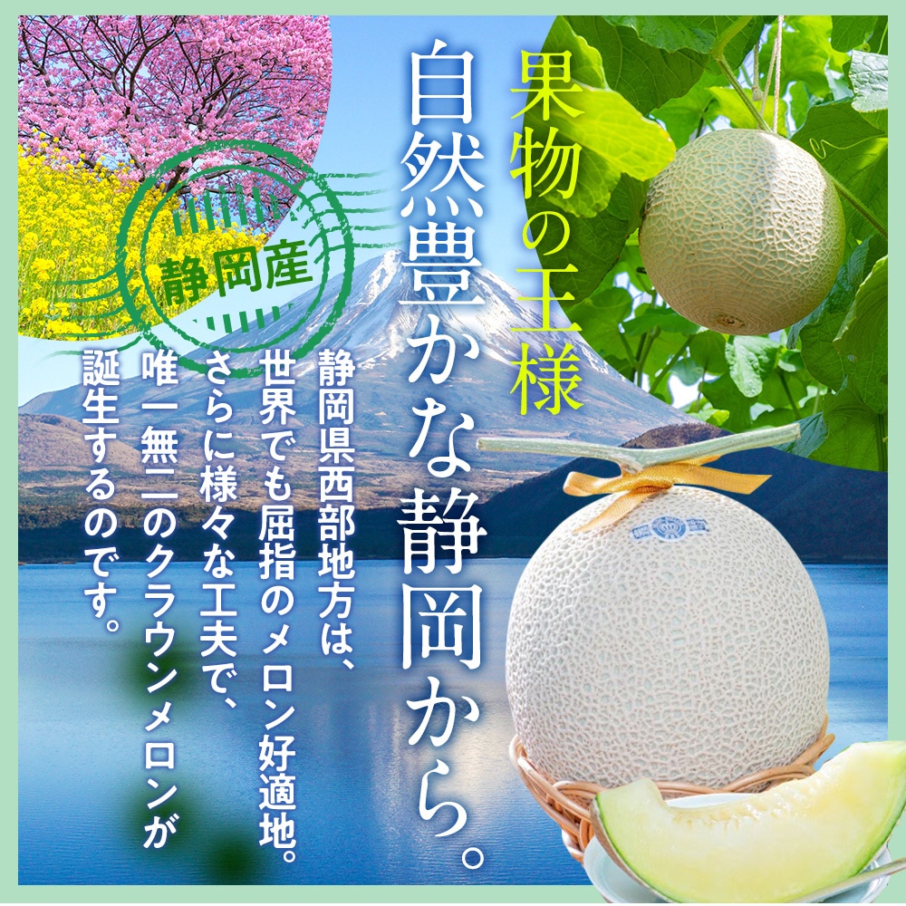 桐箱入りクラウンメロン【並(白等級)】特大玉(1.5kg前後)1玉入り