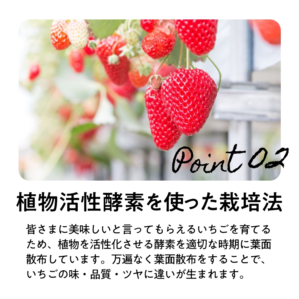 10_000000000287.jpg?1740290351