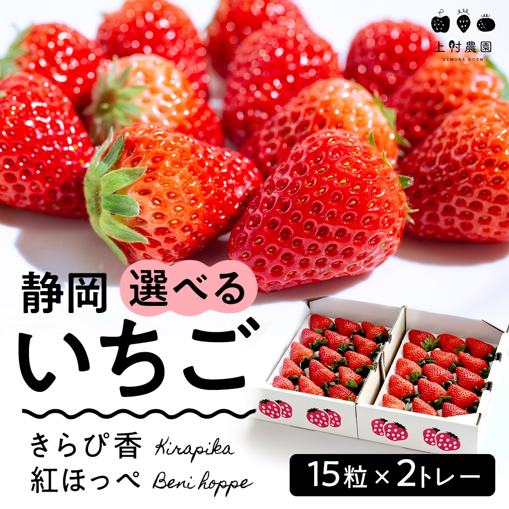 1_000000000287.jpg?1740290351