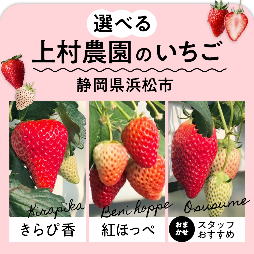 2_000000000287.jpg?1740290351