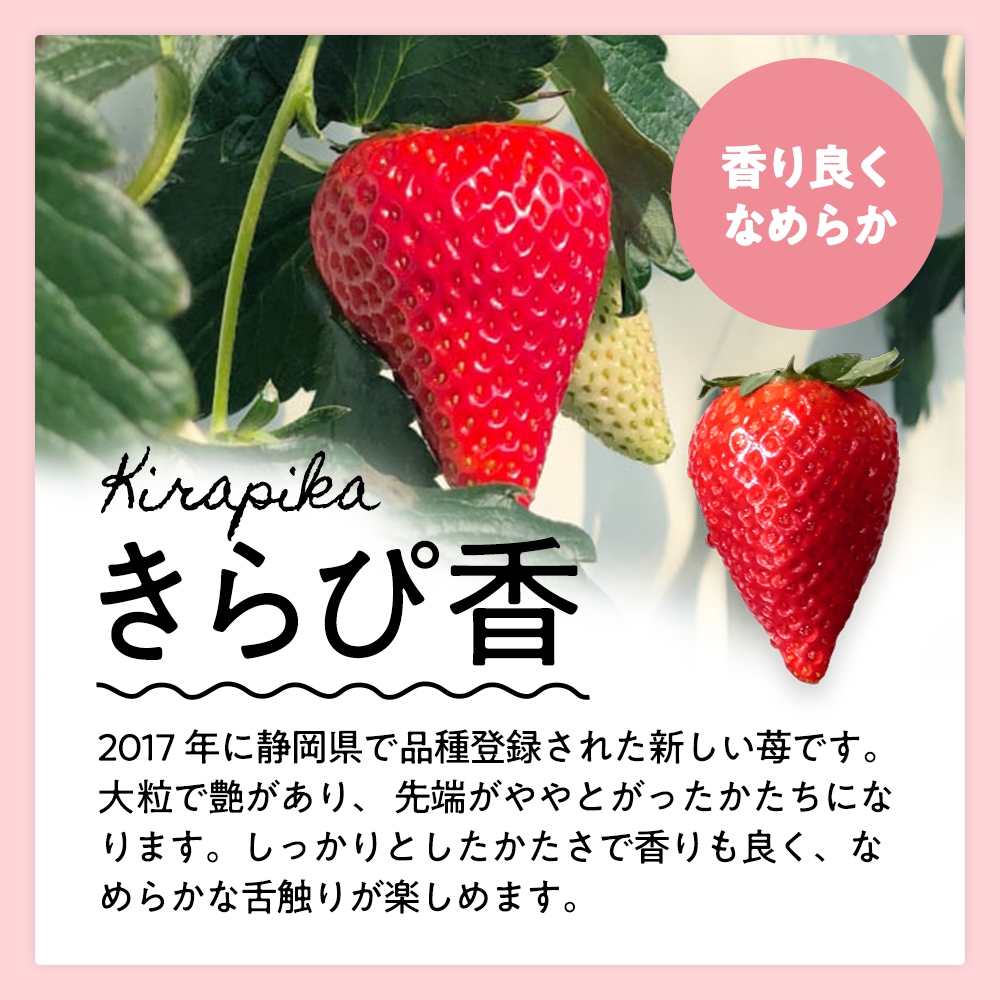 3_000000000287.jpg?1740290351