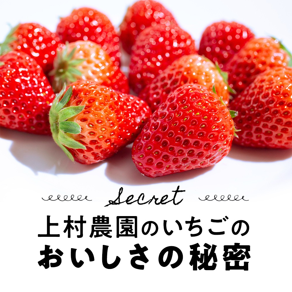 7_000000000287.jpg?1740290351