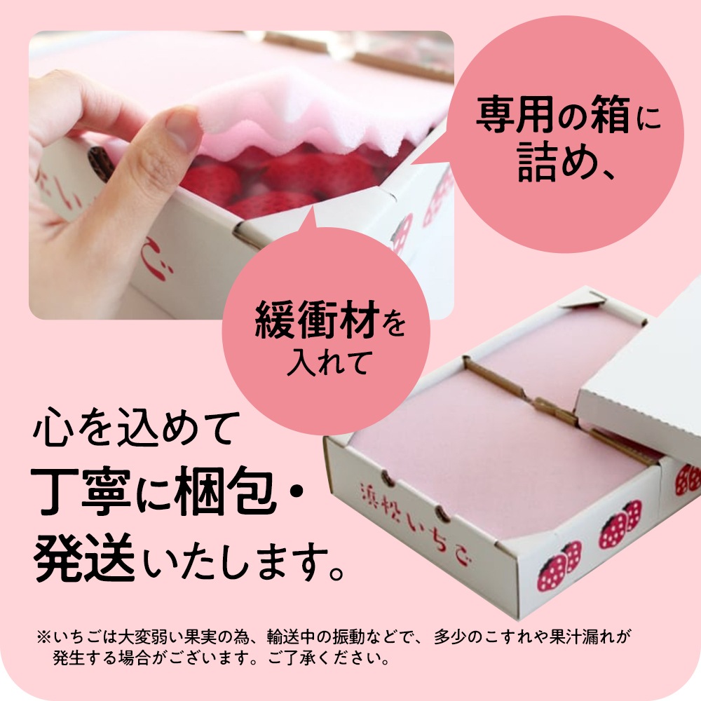 8_000000000287.jpg?1740290351