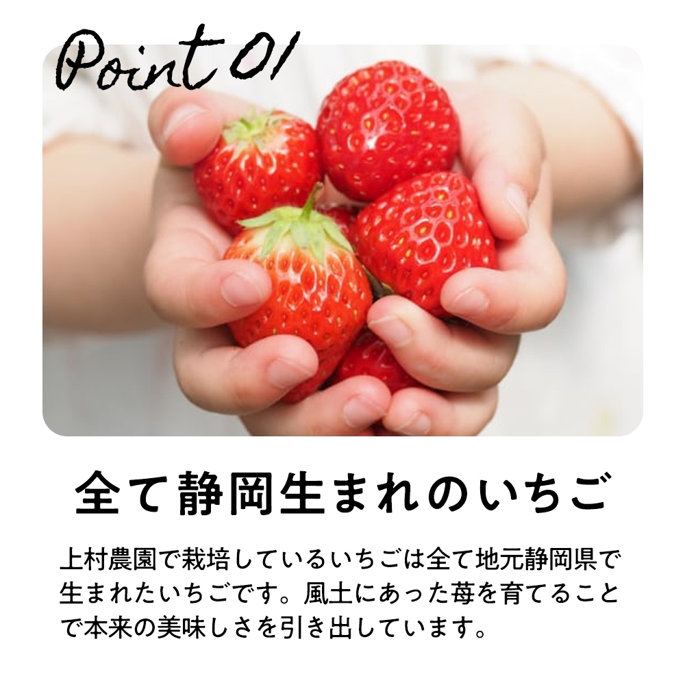 9_000000000287.jpg?1740290351