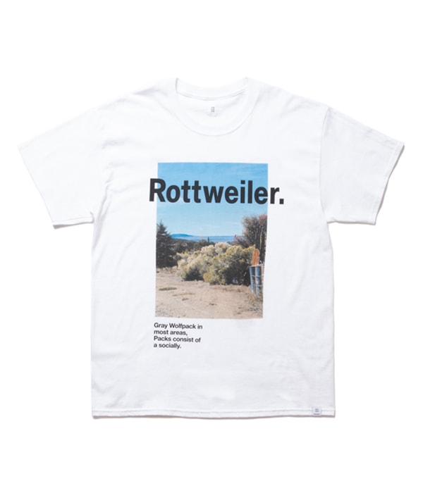Desert Photo Tee